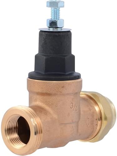 Cash Acme EB45 Pressure Regulating Valve, Single Union, 3/4 Inch NPT Female x NPT Female, Poly Top, 60 PSI, PVA16P-SUTH-60 by CashAcme