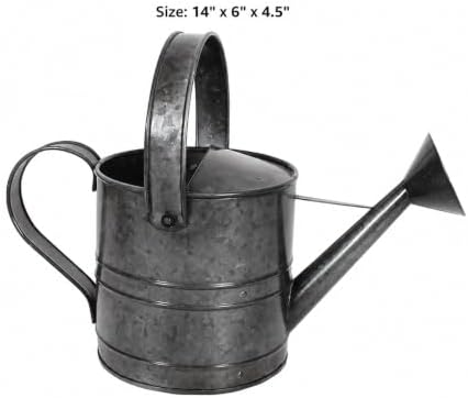 Galvanized Watering Can - Image 5
