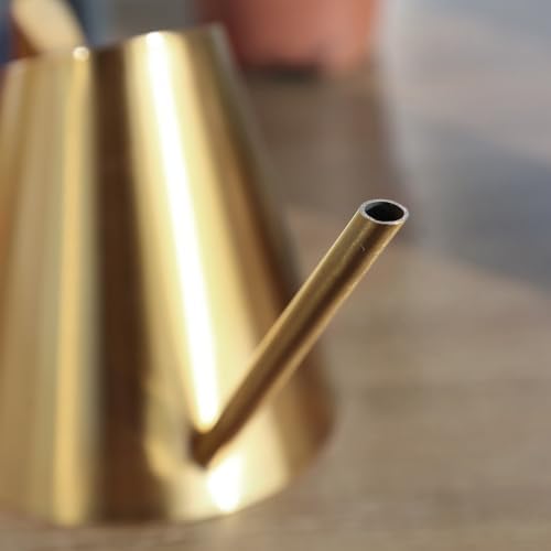 Stainless Steel Watering Can Featuring Extended Spout for Controlled Moisture Delivery to For Indoor Outdoor Lavender Clusters (900ML gold) - Image 3
