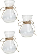 3pcs Glass Flower Storage Bottle Hydroponic Plant Vase Xmas by ARTIBETTER