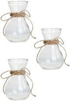 3pcs Glass Flower Storage Bottle Hydroponic Plant Vase Xmas by ARTIBETTER