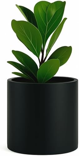 Fox & Fern Large Planter for Indoor or Outdoor, Black Matte, 12 Inch by FoxFern