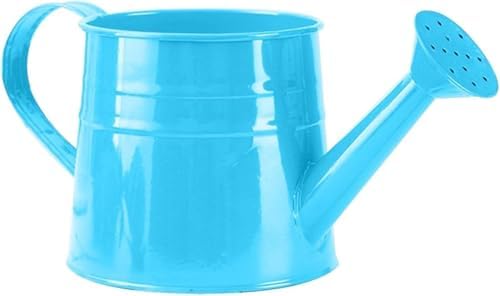 Generic Metal Watering Cans, 1L Galvanized Steel White Metal Watering Can, Small Metal Watering Can with Long Spout, Vintage Tin Watering (2s) by Unknown