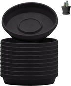 Bloem Terra Plastic Saucer Tray for 6" Terra Planters, Black, 10-Pack by Bloem