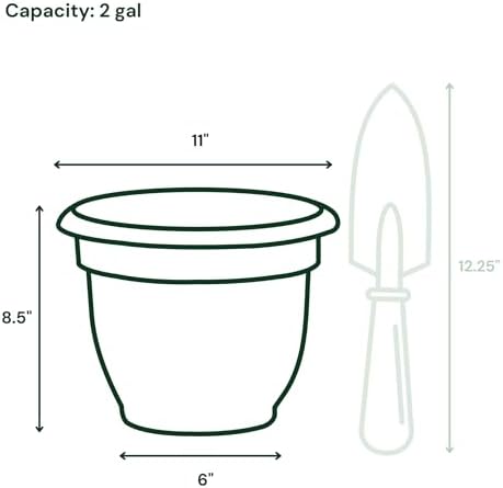 Bloem Ariana 10" Plastic Self-Watering Planter, Black, 4-Pack - Image 4