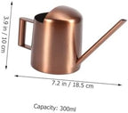 LIOOBO 2pcs Watering Can Indoor Plants Indoor Plant Accessories Water Pot for Plants Plant Water Plants Pitcher Water Can for Plants Watering Pots Light Brown Stainless Steel - Image 2