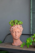 7 x 11 Visage Head Bust Planter, 11 Inch, Brown by Noeko