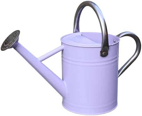 Metal Watering Can 1 Gallon for Outdoor Garden Plants,Purple by yourjoy