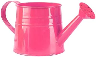 Galvanized Shower Bucket Tinplate Watering Kettle Small Flower Pot Indoor Outdoor Watering Can Garden Container with Handle (I, One Size) by Unknown