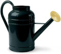2.3 Gallon Galvanized Iron Watering Can, Dark Green Metal Garden Watering Pot with Gold Nozzle & Removable Spout for Indoor Outdoor Plants by LONGRUNNEW