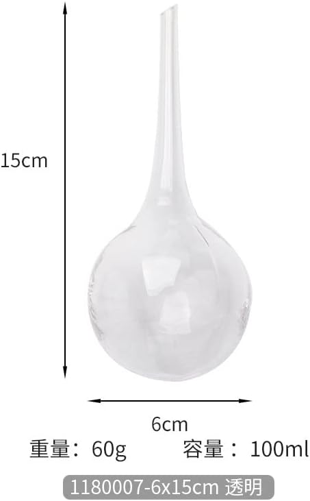 Aqua Hand Blown Glass Water Bulbs Plant Flower Watering Globes Cans Glass Ball for Home Decor (2, Clear) - Image 2