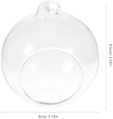 Glass Globe Terrarium Hanging Planter 12pcs for Succulents and Moss - Image 2