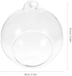 Glass Globe Terrarium Hanging Planter 12pcs for Succulents and Moss - Image 2