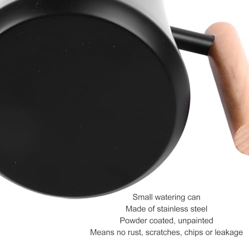 1 Liter Stainless Steel Long Spout Watering Can with Wooden Handle for Indoor Plants, 35 oz Metal Watering Pot - Image 3