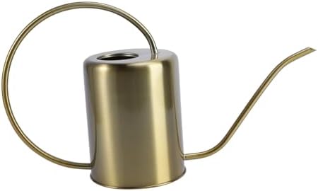 Watering Can with Long Spout 2000ml Stainless Steel Golden by Parliky