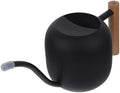 Generic Metal Watering Can for Indoor Plants with Long Spout and Wooden Handle Garden Watering Pot for Succulents and Flowers Ergonomic Design and Easy Refilling by Unknown