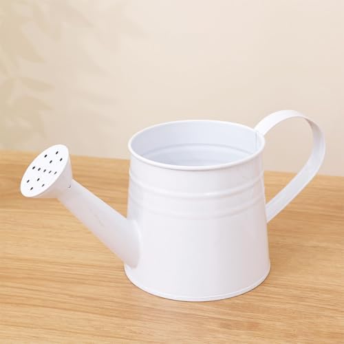 1L Retro Metal Painted Watering Can with Long Spout & Handle - Image 4