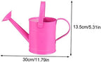 Useful Iron Watering Can with Spray Mouth for Durable Gardening Kettle Tool for Flowers Houseplants and Outdoor Use Convenient Capacity for Easy Pouring - Image 2