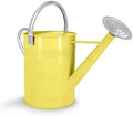 6.5L Beige Durable Galvanized Steel Watering Can - Rust-Resistant Rust-Proof Metal Pot with Removable Long Spout & Movable Ergonomic Handle for Indoor Outdoor Plants, Garden Lawn Flowers by LONGRUNNEW