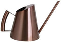 900ml Stainless Steel Watering Can with Long Spout for Plants by Happyforkidstogrowup