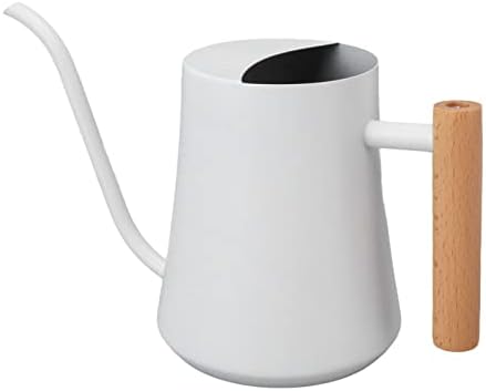 WALFRONT Watering Can Stainless Steel Watering Can, 1000ml Plant with - Image 5