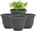 Bloem Ariana 6" Plastic Self-Watering Planter, Charcoal, 4-Pack by Bloem