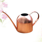 Stainless Steel Watering Can Ml with Long Spout for Plants - Image 5