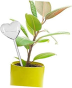 Totority 3pcs Heart-Shaped Glass Self-Watering Bulbs Plant Watering Globes for Automatic Irrigation - Image 3