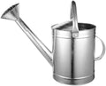 Metal Watering Can for Indoor and Outdoor Plants 5l with Fixed Handle and Spray Head Suitable for Houseplants and Garden Flowers Style by Anneome