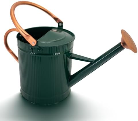 1 Gallon Dark Green Metal Watering Can, Removable Spout by HORTICAN