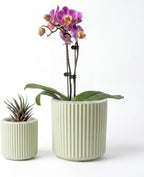 Large Ceramic self Watering Pot for houseplant,6.4inch&4 inch,Green by TineDew