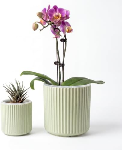 Large Ceramic self Watering Pot for houseplant,6.4inch&4 inch,Green by TineDew