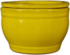 Self Watering Pot for African Violets Indoor Outdoor Plants, 6 inch, Yellow - Image 2