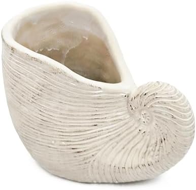 Nautilus Shell Planter, 8.5 Inch, Beige - Image 2