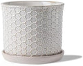 5.8 Inch Ceramic Plant Pot with Drainage Hole & Separate Saucer by Chubacoo