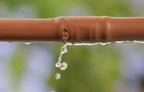 Mister Landscaper 100-ft Roll 1/2-in In-Line Drip Tubing - Image 2