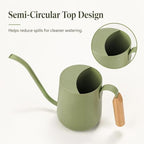 IMEEA 33oz Indoor Watering Can Stainless Steel Wooden Handle Long Spout - Image 6