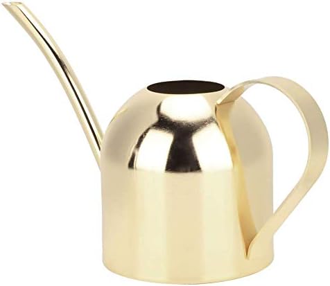 Stainless Steel Water Can for Indoor Plants and Garden, Mini Indoor Watering Can for Small Plants Stainless Steel Watering Can with Long Spout for Desk, Windowsill & Bonsai, 17oz/500ml (Gold) by Unknown