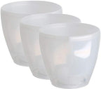 Gardenera 6.7" Deco Self Watering Pots for Indoor Plants in Transparent (Set of 3) - Decorative Flower Pot with Water Level Indicator and Drainage Cartridge for All House Plants, Flowers and Herbs by Gardenera
