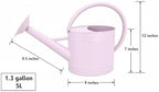 1.3 Gallon Matte Pink Metal Watering Can, Removable Spout - Image 2