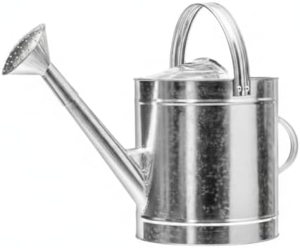 Watering Can by Unknown