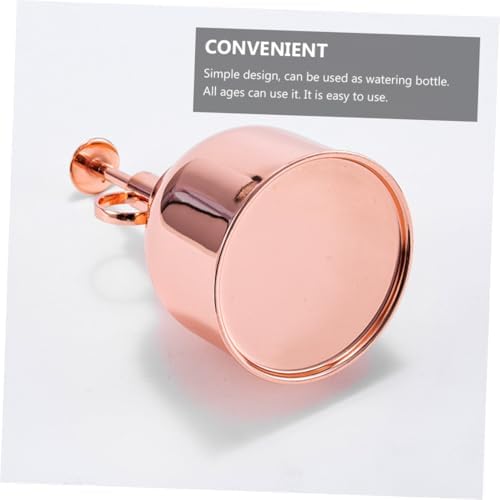 300ml Vintage Stainless Can Watering Pump, Mister Steel Plant - Image 6