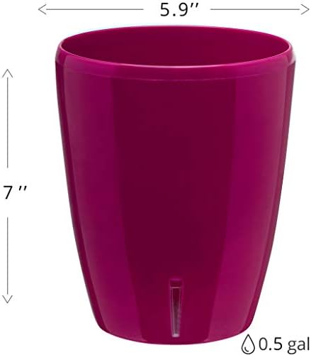 Santino 5.9 Inch ORCHIDEA Self Watering Pots for Orchids in Violet (Set of 3) - Decorative Wicking Planter with w/Great Aerification, Drainage and Water Level Indicator - Image 2
