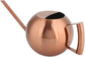 WALFRONT Stainless Steel Watering Can Long Spout 1L Capacity Ergonomic by Walfront