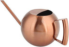 WALFRONT Stainless Steel Watering Can Long Spout 1L Capacity Ergonomic by Walfront