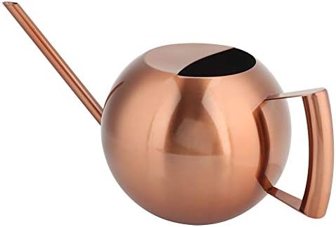 WALFRONT Stainless Steel Watering Can Long Spout 1L Capacity Ergonomic by Walfront