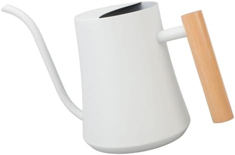 Indoor Watering Can, Stainless Steel Wooden Handle Watering Pot with Long Spout, Cute Decorative Metal Gardening Small Water Ca for Hanging Plants, Wall Plants (Matte White) by Obetuens