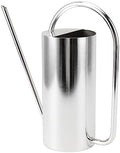 Watering Can, Stainless Steel Colored Watering Can Indoor Metal Watering Can Long Spout 1500ml Large Capacity Watering Kettle for Desk Office Plants (Stainless Steel Color) by Gavigain