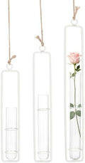 METALLIXITY Hanging Clear Glass Hydroponic Plant Propagation Tube Vase 3Pcs by METALLIXITY
