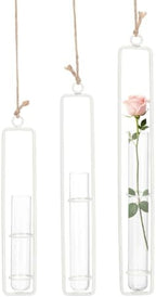METALLIXITY Hanging Clear Glass Hydroponic Plant Propagation Tube Vase 3Pcs by METALLIXITY